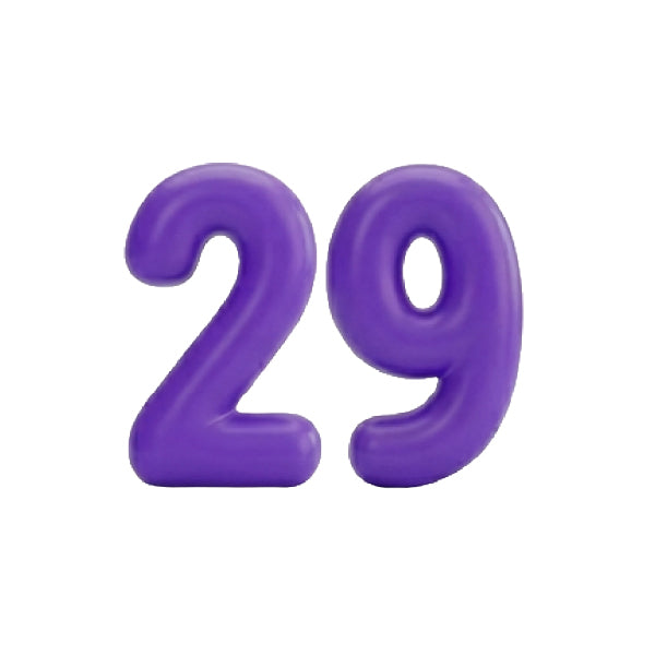 29,00 $/mois = 25 Go